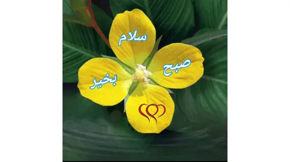 فال روزانه شخصی/ 25 خرداد ماه + فیلم