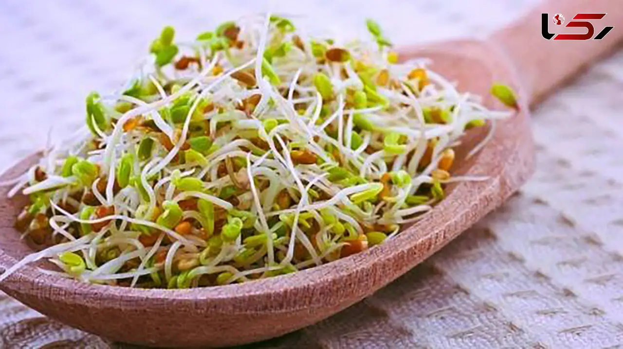 تب بر طبیعی به نام جوانه گندم 