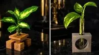 چگونه با گلدان چوبی، دکوراسیون رومیزی خود را خاص تر کنیم؟