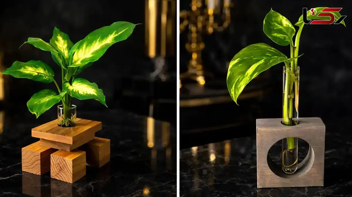 چگونه با گلدان چوبی، دکوراسیون رومیزی خود را خاص تر کنیم؟