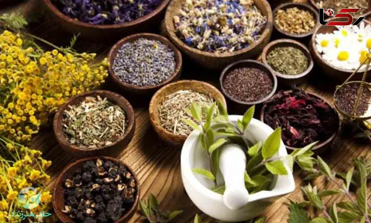 70 درصد گیاهان مهم دارویی کشور در خراسان رضوی کشت می‎شوند