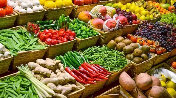 ماجرای برگشت محصولات کشاورزی ایران چه بود؟ /صادرات به روسیه بزودی از سر گرفته می‌شود