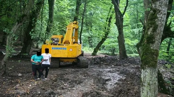 چوب حراج به خاک هیرکانی / خاک سیاه جنگل؛ نیسانی یک میلیون و ۵۰۰ هزار تومان