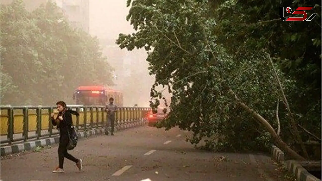 هشدار جدی به ساحل‌نشینان خلیج فارس؛ باد تند و امواج بلند در راه است