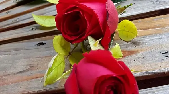 فال ابجد امروز / 8 خرداد ماه + فیلم 