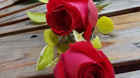فال ابجد امروز / 8 خرداد ماه + فیلم 