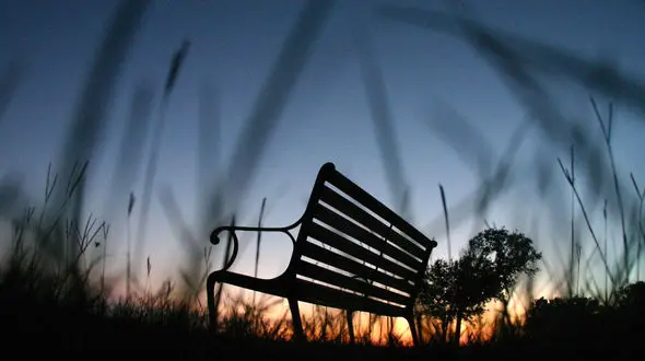 بیماری هایی که ناشی از تنهایی است