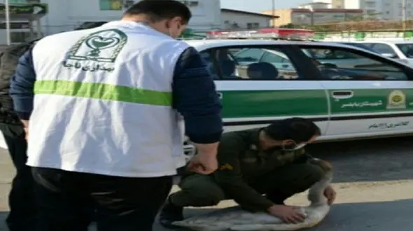 عکس/ نجات قوی آوازخوان توسط پلیس در میدان اصلی بابلسر 