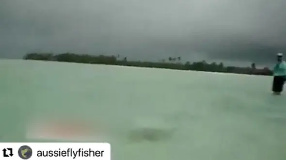 لحظه ترس آور ازحمله کوسه به یک مرددر ساحل ! + فیلم