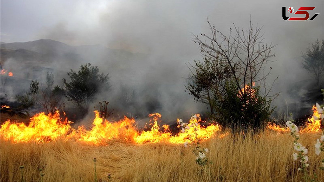 آتش در  انبار 3هزار تنی علوفه در ورامین