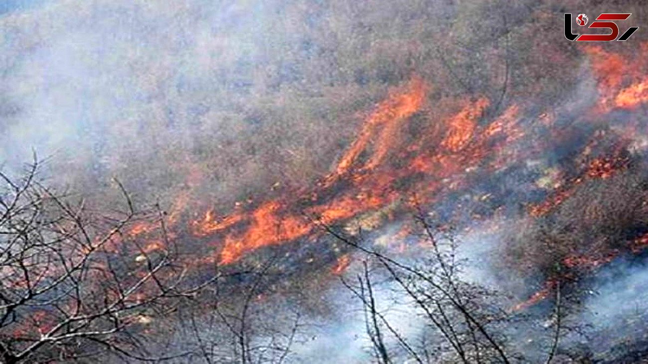 بیش از 150 هکتار از جنگل های گلستان سوخت / آتش سوزی ادامه دارد، خبری از بالگرد نیست + فیلم