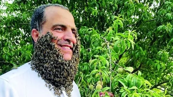 رکورد شکنی یک مرد با 240 هزار زنبورعسل روی صورتش + عکس