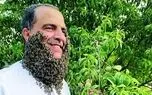 رکورد شکنی یک مرد با 240 هزار زنبورعسل روی صورتش + عکس