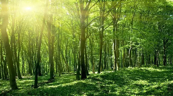 عجیب ترین اتفاقی که برای یک بیابان افتاد + فیلم