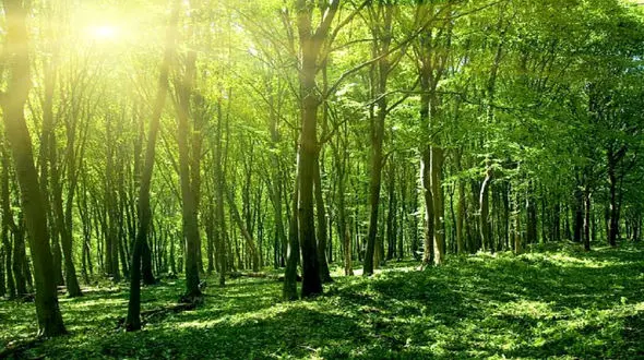 عجیب ترین اتفاقی که برای یک بیابان افتاد + فیلم