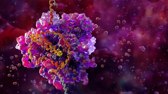 میکروبی با کوچکترین ژنوم شناخته‌ شده، مرزهای حیات را جا به‌ جا کرد