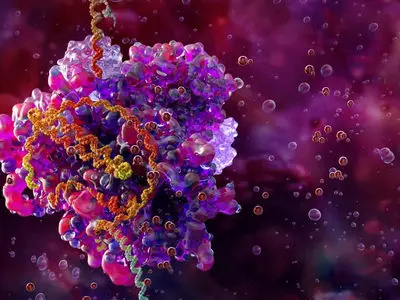 میکروبی با کوچکترین ژنوم شناخته‌ شده، مرزهای حیات را جا به‌ جا کرد