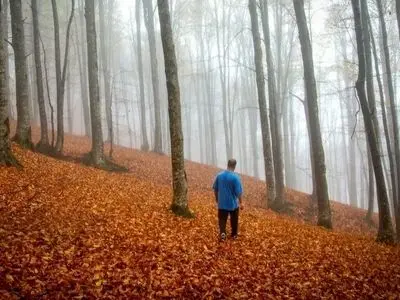 سوادکوه؛ بهترین مقصد برای عاشقان پاییز شمال + تصاویر