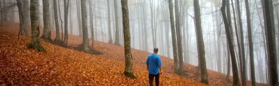 سوادکوه؛ بهترین مقصد برای عاشقان پاییز شمال + تصاویر