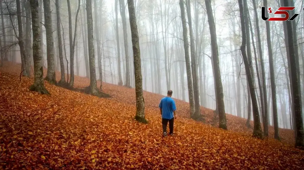 سوادکوه؛ بهترین مقصد برای عاشقان پاییز شمال + تصاویر