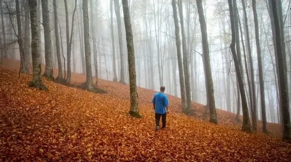 سوادکوه؛ بهترین مقصد برای عاشقان پاییز شمال + تصاویر