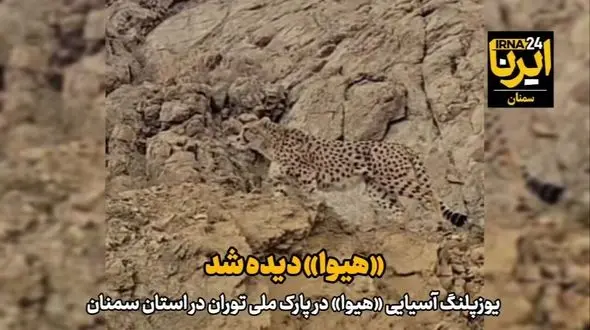 هیوا خیال همه را راحت کرد + فیلم یوز ایرانی