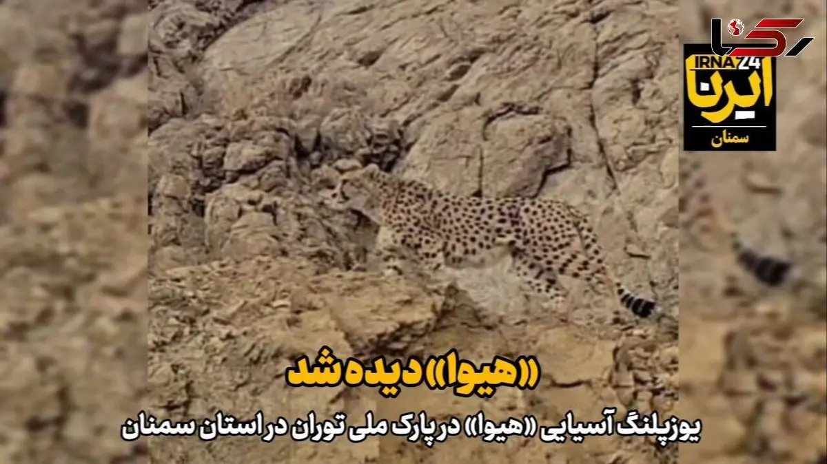 هیوا خیال همه را راحت کرد + فیلم یوز ایرانی