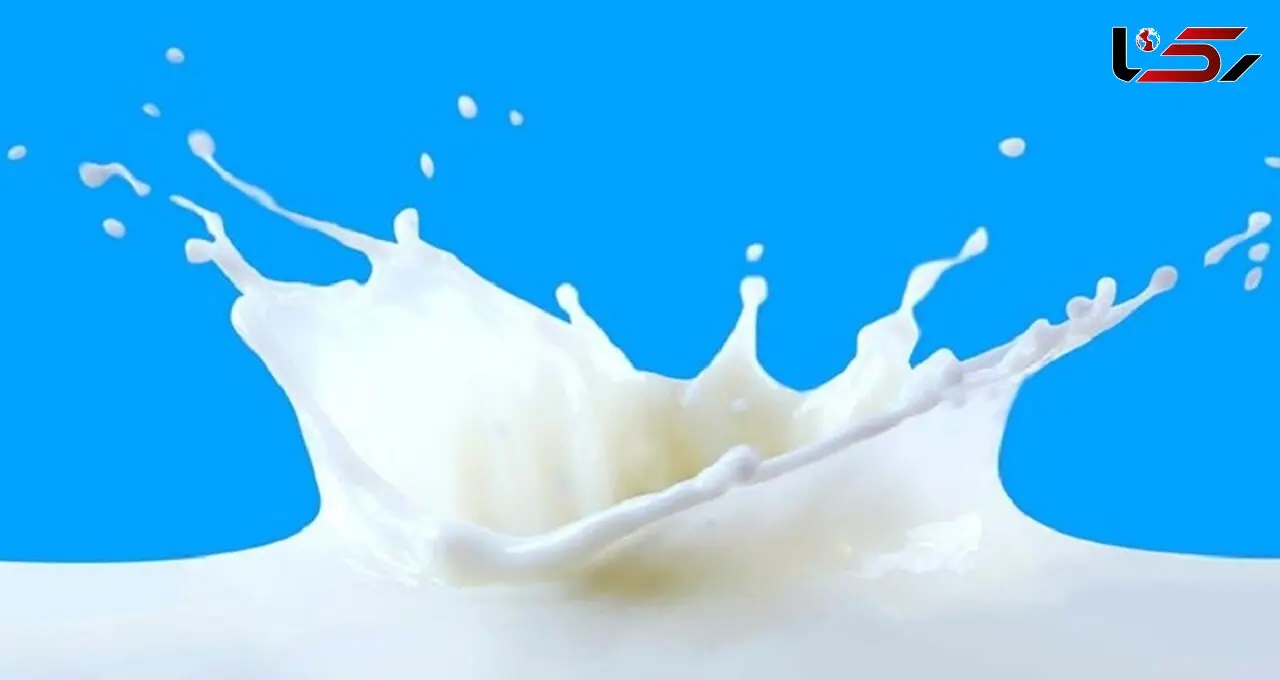 تغذیه نسل آینده از شیر سوسک!