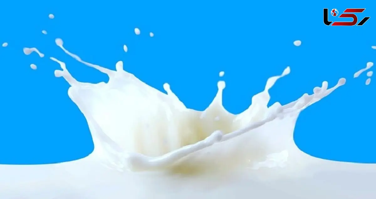 تغذیه نسل آینده از شیر سوسک!