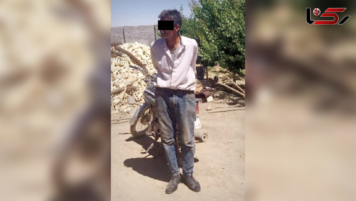  عملیات ضربتی پلیس در حسن‌آباد / پایان ماجرای اوراق‌کاری یک نگهبان معتاد 