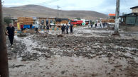 سیل ۳۱۰ واحد مسکونی روستایی را تخریب کرد