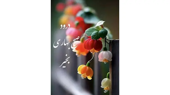 فال روزانه شخصی / 11 خرداد ماه + فیلم