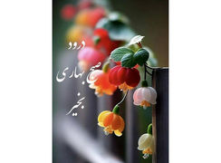 فال روزانه شخصی / 11 خرداد ماه + فیلم