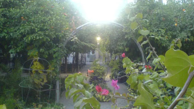 گالری سفر