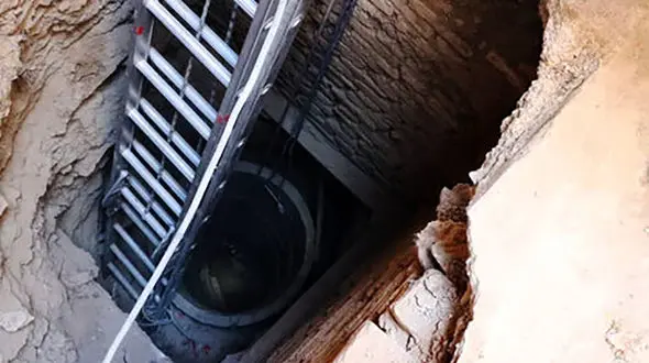 مرگ وحشتناک یک اسب در اصفهان 