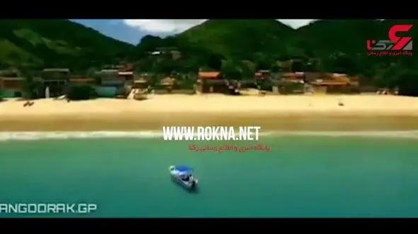 طی کردن هر ساله 8000 مایل  یک پنگوئن برای قدردانی+فیلم