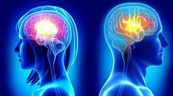 چرا مغز مردان سریع‌ تر از زنان پیر می‌ شود؟