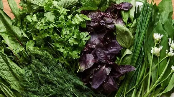 خواص انواع سبزی خوردن که نمی دانید + فیلم