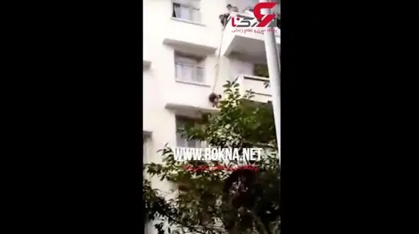 اقدام عجیب مادربزرگی که عاشق گربه اش بود+ فیلم دلهره آور