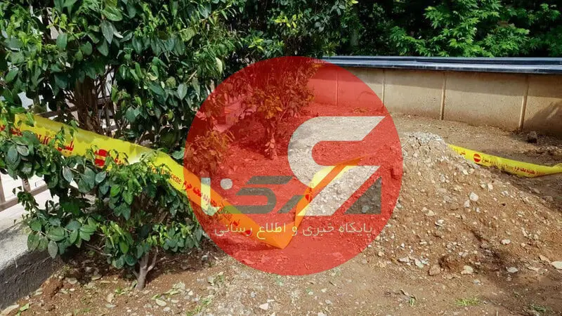 عکس‌های محل سقوط دبیر اول سوئیس است