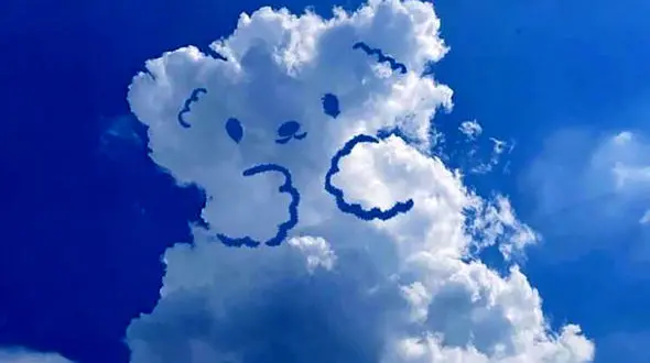 فال و طالع بینی مخصوص 20 فروردین + فیلم