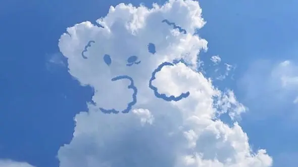 فال و طالع بینی مخصوص 20 فروردین + فیلم