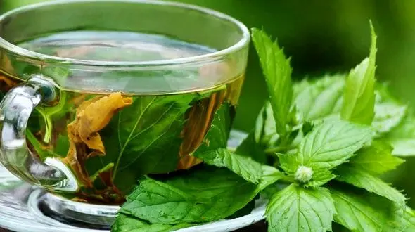 رفع سکسکه با پونه کوهی