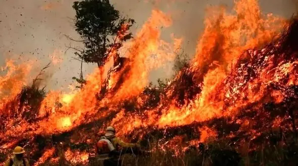 آواز محلی؛ داغ آتش جنگل های الیت وقتی قشنگ مازرون حال نخاره