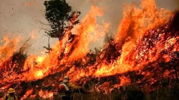 آواز محلی؛ داغ آتش جنگل های الیت وقتی قشنگ مازرون حال نخاره