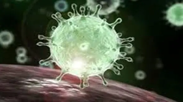 چگونه اضطراب ابتلا به کرونا را از بین ببریم؟