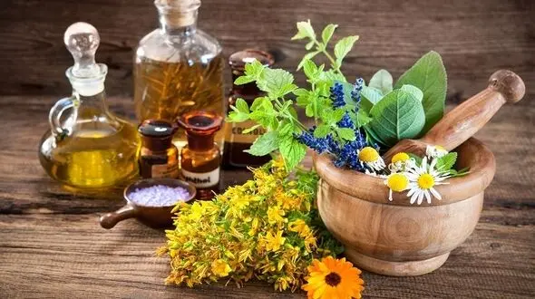 گیاهانی که در درمان سرطان معجزه می کنند