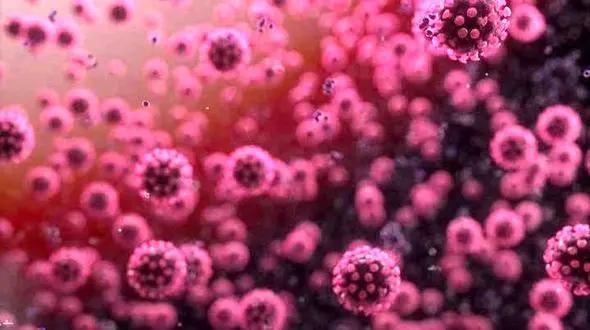 نشانه های کرونا ویروس در فازهای مختلف بیماری 