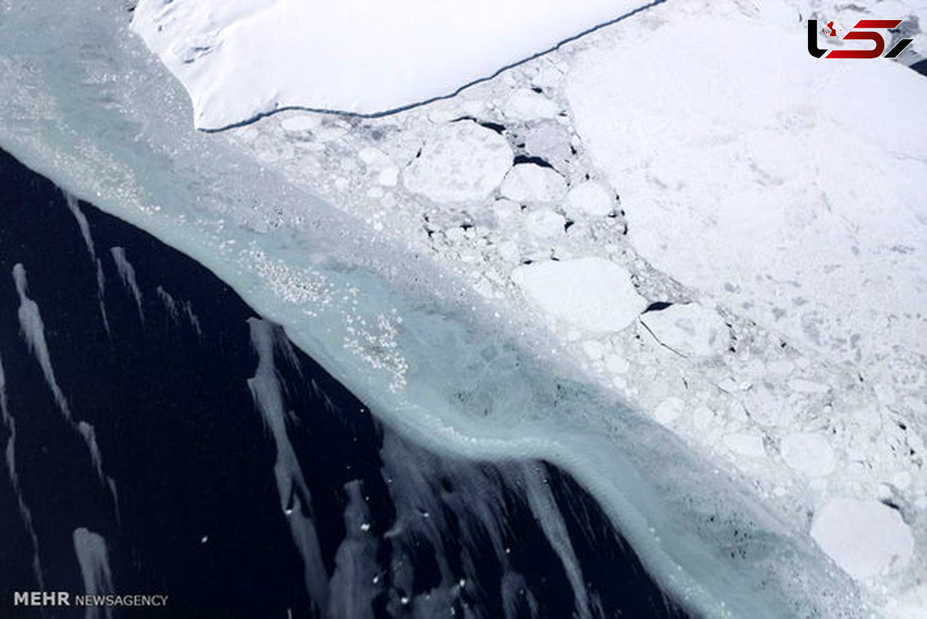 ادعای ناسا در خصوص کم شدن سطح یخ قطب جنوب