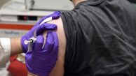 Iran to conduct human test of domestic COVID-19 vaccine